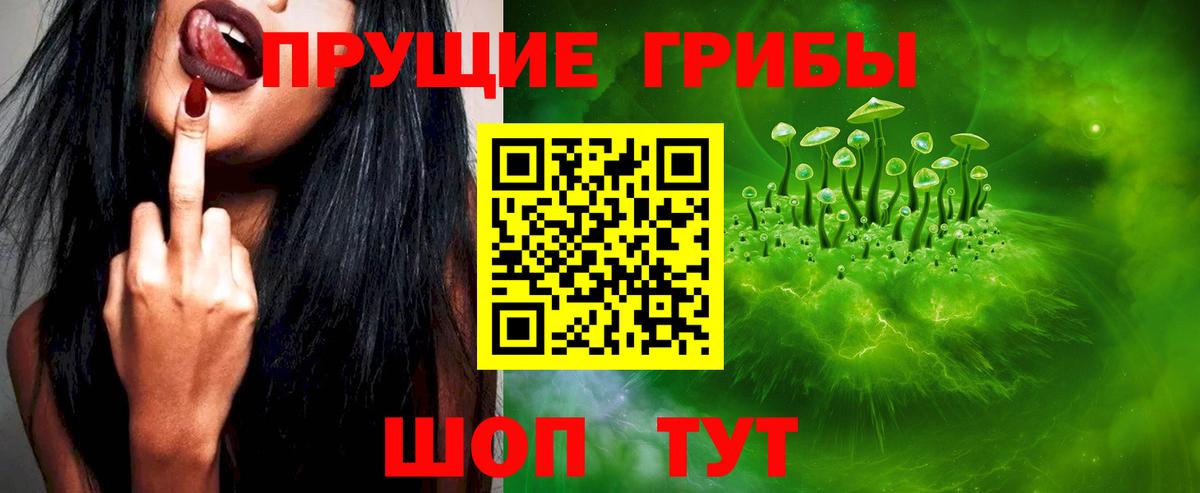 Галлюциногенные грибы Psilocybine cubensis  Галлюциногенные грибы MAGIC MUSHROOMS  Северск  Вход с VPN 